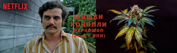 альфа пвп Анжеро-Судженск