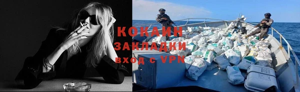 apvp Михайлов