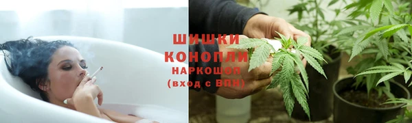 apvp Михайлов