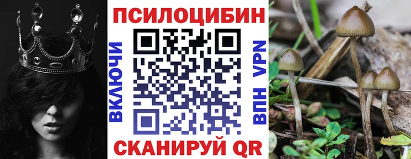 Галлюциногенные грибы ЛСД  гидра ТОР  Динская 